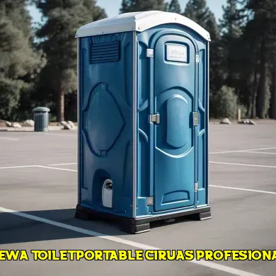 sewa toilet portable ciruas profesional